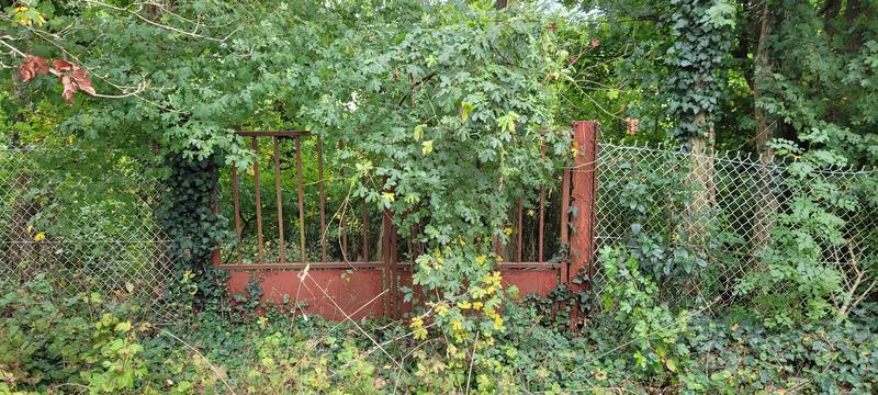 Maison - 42 m² - 1 pièce