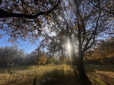 Terrain agricole - 7 580 m²