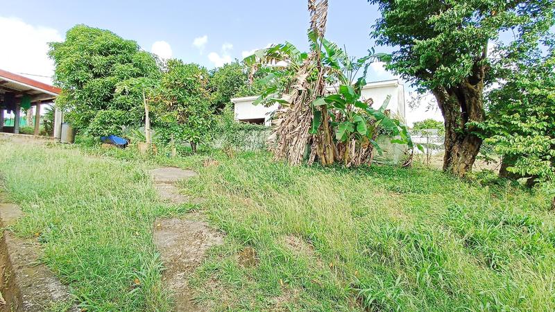 Maison - 174 m² - 5 pièces