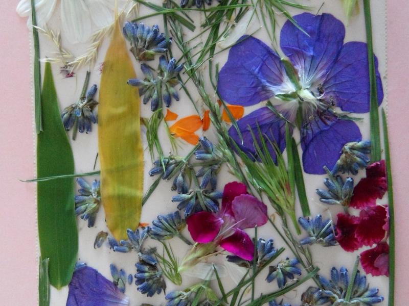 Semaine de la Biodiversité - Fabrication d'une presse à fleurs à Saint-Ciers-sur-Gironde