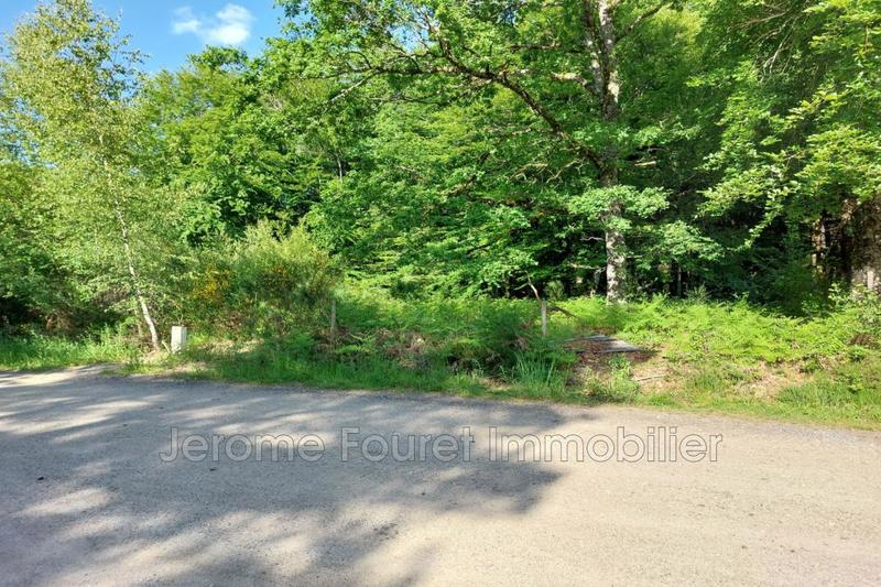 Terrain constructible - 2 229 m²
