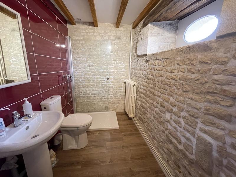 Maison ancienne - 725 m² - 12 pièces