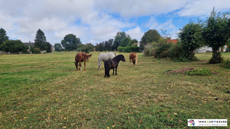 Maison ancienne - 120 m² - 8 pièces