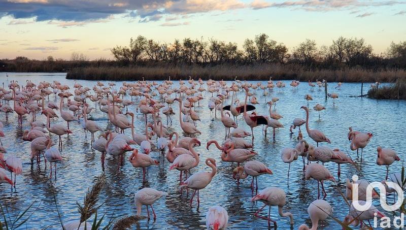 Appartement - 28 m² - 1 pièce