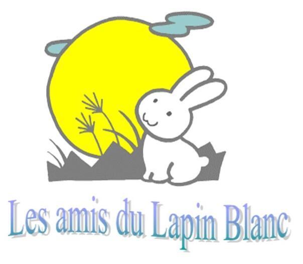 Vide greniers des amis du lapin blanc