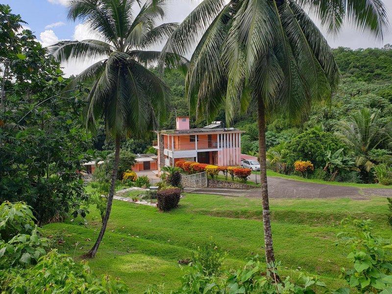 Propriété - 528 m² - 20 pièces