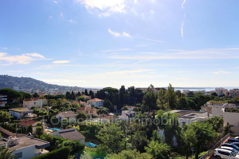 Appartement - 55 m² - 2 pièces