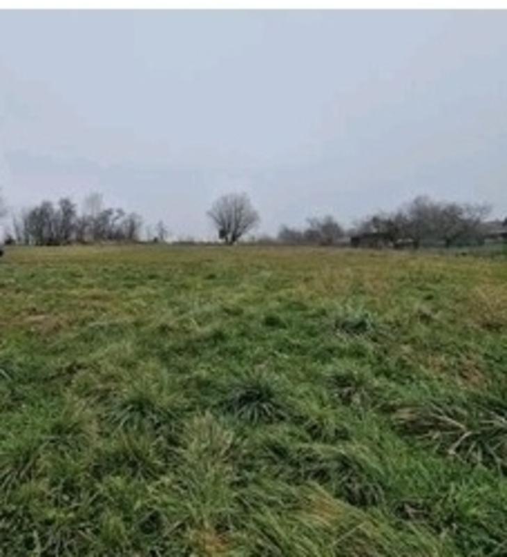 Propriété - 220 m² - 7 pièces