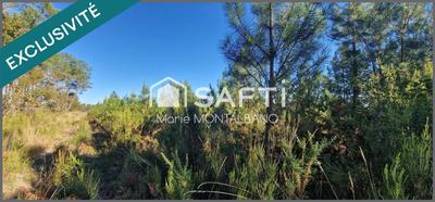 Terrain - 59 300 m²