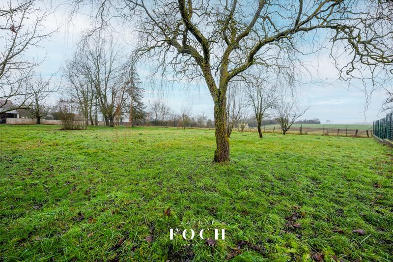 Maison - 187 m² - 6 pièces