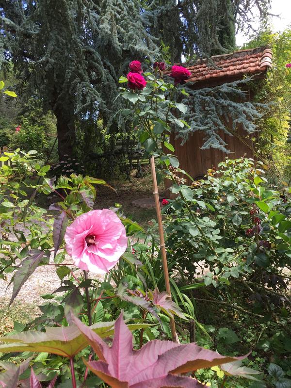 Rendez-vous aux jardins au Jardin de Boissonna