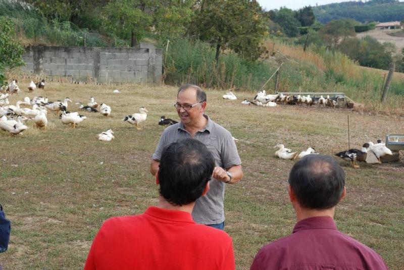 La Ferme de Las Crabères