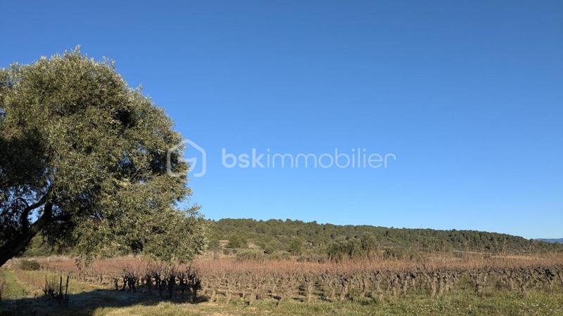 Maison de village - 100 m² - 7 pièces