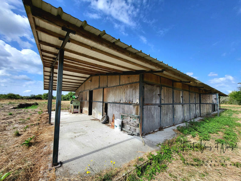 Maison - 134 m² - 5 pièces