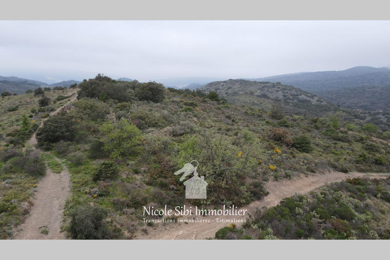 Terrain - 25 575 m²