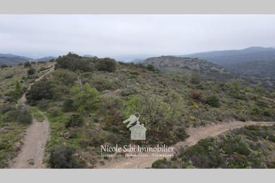 Terrain - 25 575 m²