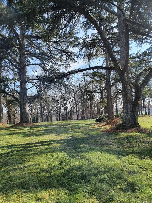 Maison - 335 m² - 14 pièces