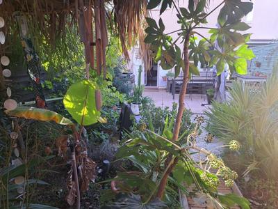 Appartement - 50 m² - 3 pièces