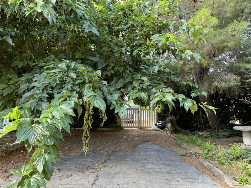 Villa - 73 m² - 4 pièces