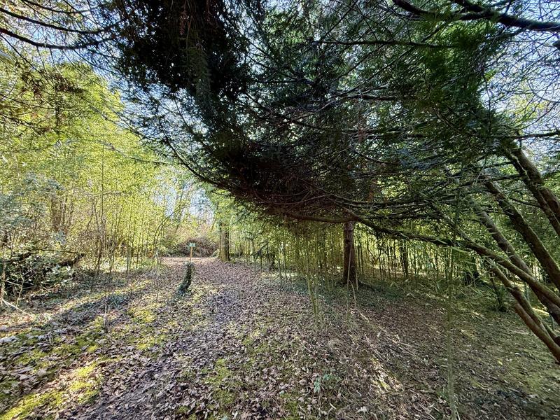 Maison ancienne - 98 m² - 4 pièces