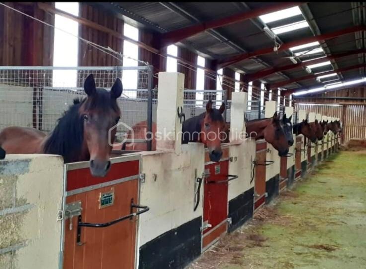 Maison de domaine équestre - 2 112 m² - 1 pièce