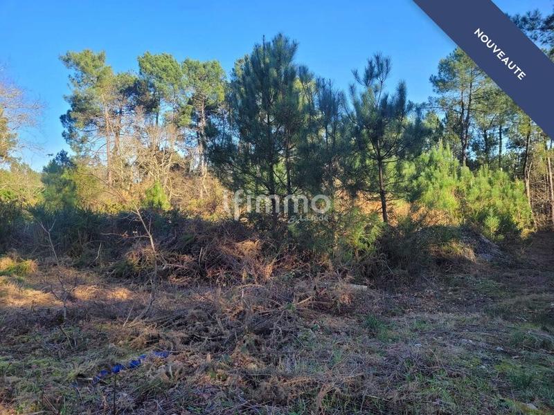 Maison - 148 m² - 6 pièces