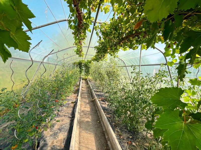 Appartement - 110 m² - 7 pièces