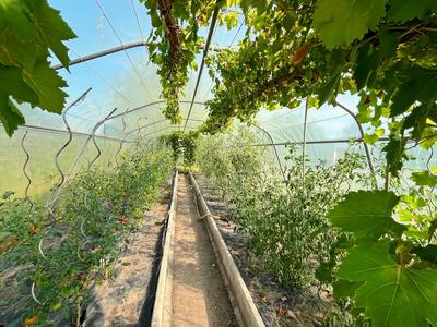 Appartement - 110 m² - 7 pièces