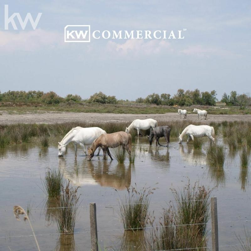 Fonds de commerce - Magasins - 750 m²