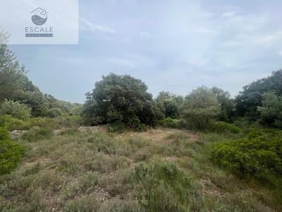 Terrain - 6 091 m²