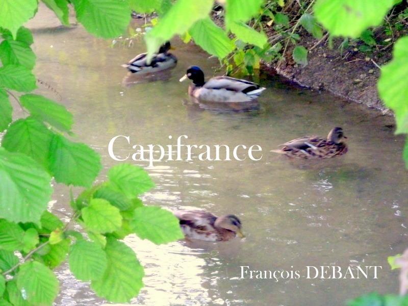 Terrain de loisirs - 8 000 m²