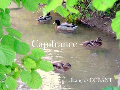 Terrain de loisirs - 8 000 m²