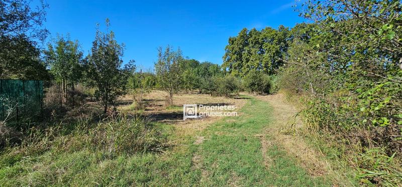 Terrain agricole - 29 154 m²