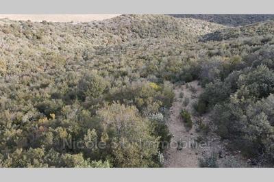 Terrain - 11 396 m²