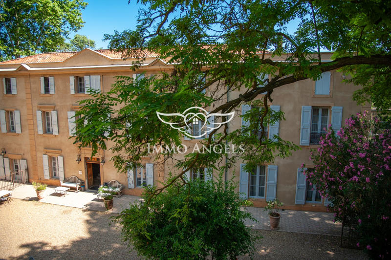 Château - 1 400 m² - 38 pièces