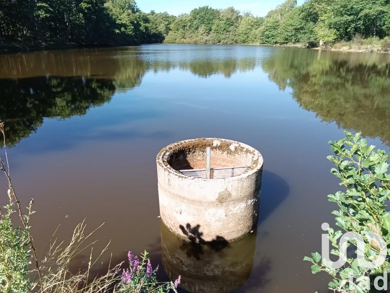 Terrain - 37 398 m²