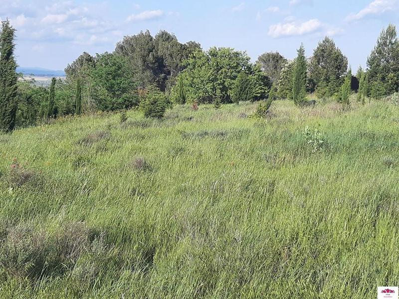 Terrain - 16 500 m²