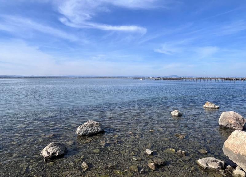 Studio - 22 m² - 1 pièce