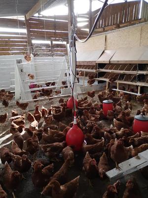 La Ferme Biologique du Grand Bois