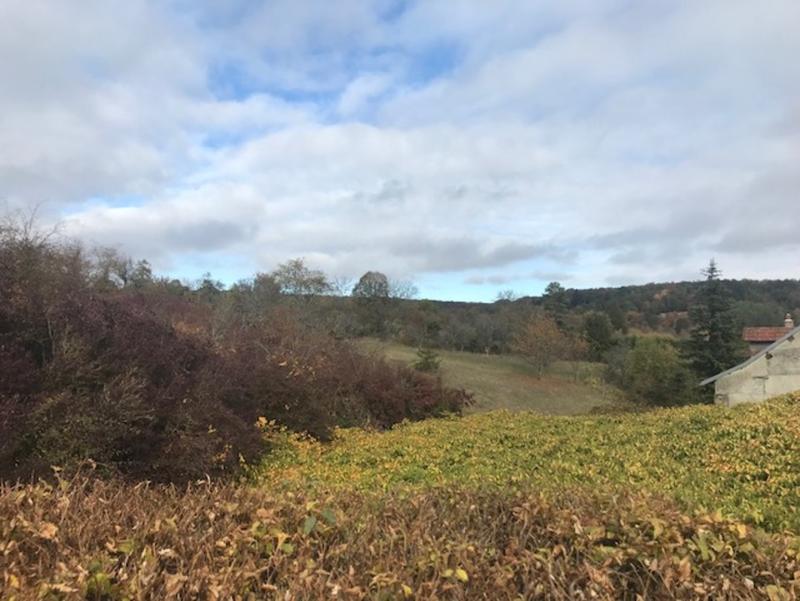 Maison - 49 m² - 2 pièces