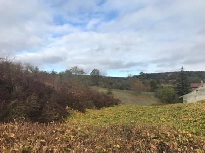 Maison - 49 m² - 2 pièces