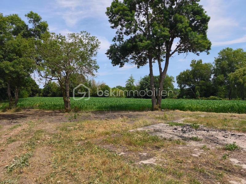 Maison - 315 m² - 3 pièces