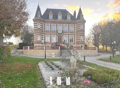 Château - 700 m² - 19 pièces