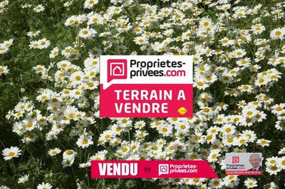 Terrain agricole - 5 500 m²