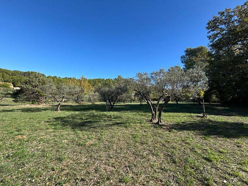 Terrain constructible - 1 622 m²