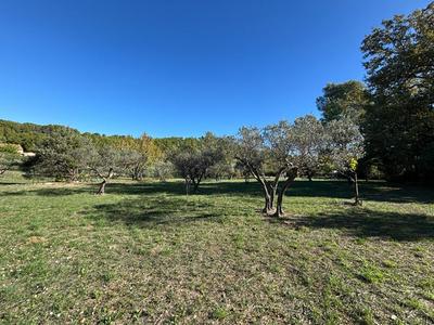 Terrain constructible - 1 622 m²