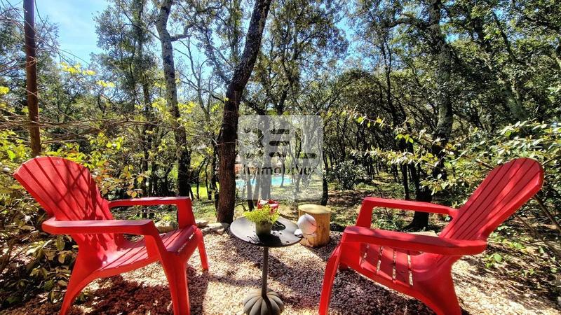 Propriété - 750 m² - 25 pièces