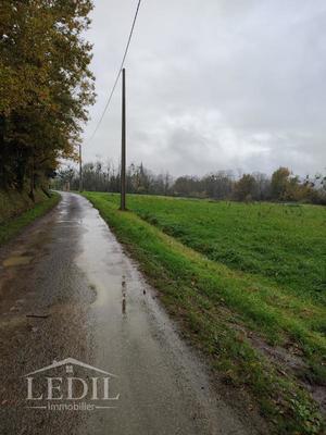 Terrain constructible - 1 427 m²