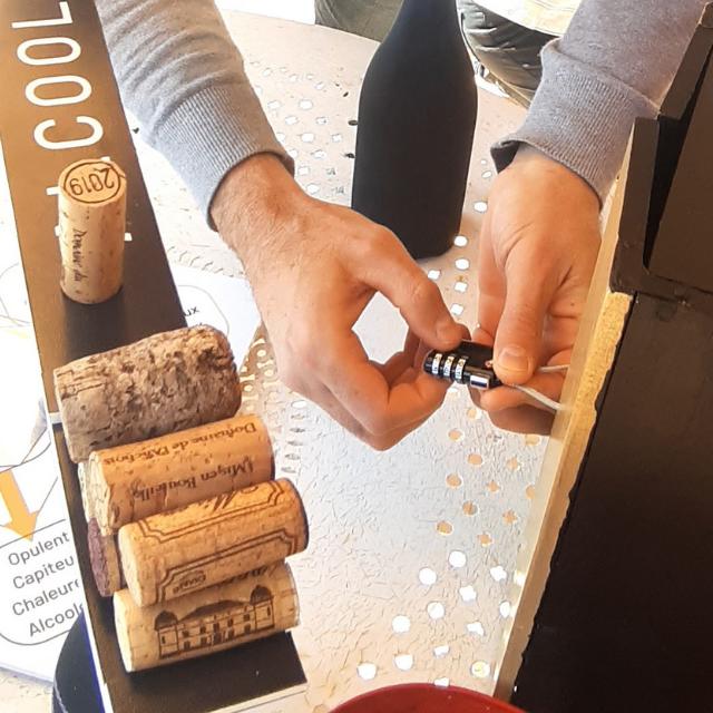 Wine gaming au Domaine viticole de l'Anchois