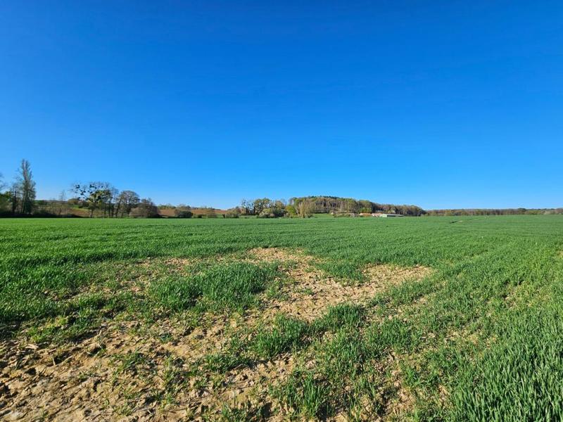 Maison - 115 m² - 3 pièces